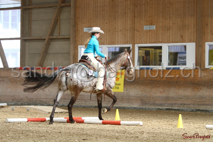 26-ApHC GT_168.jpg